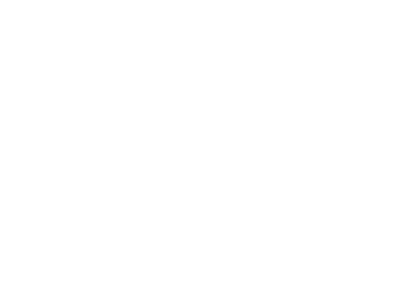 Efameinsa